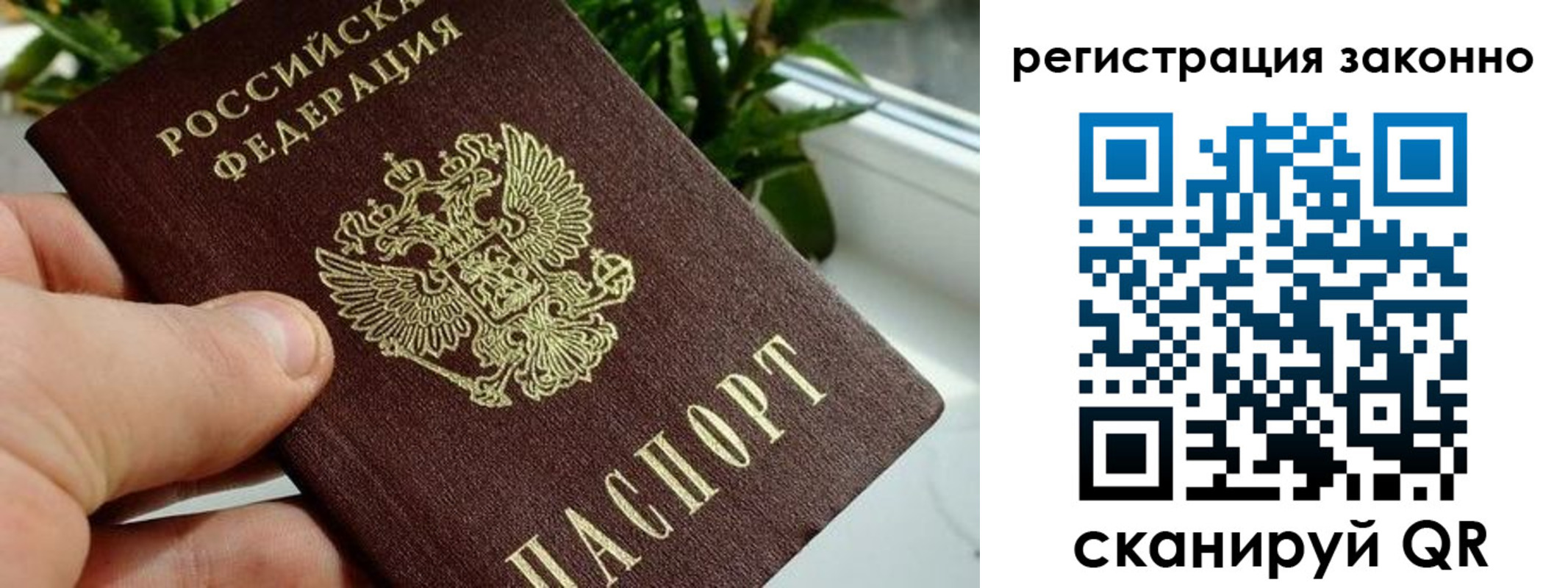 прописка гарантия в Кизляре